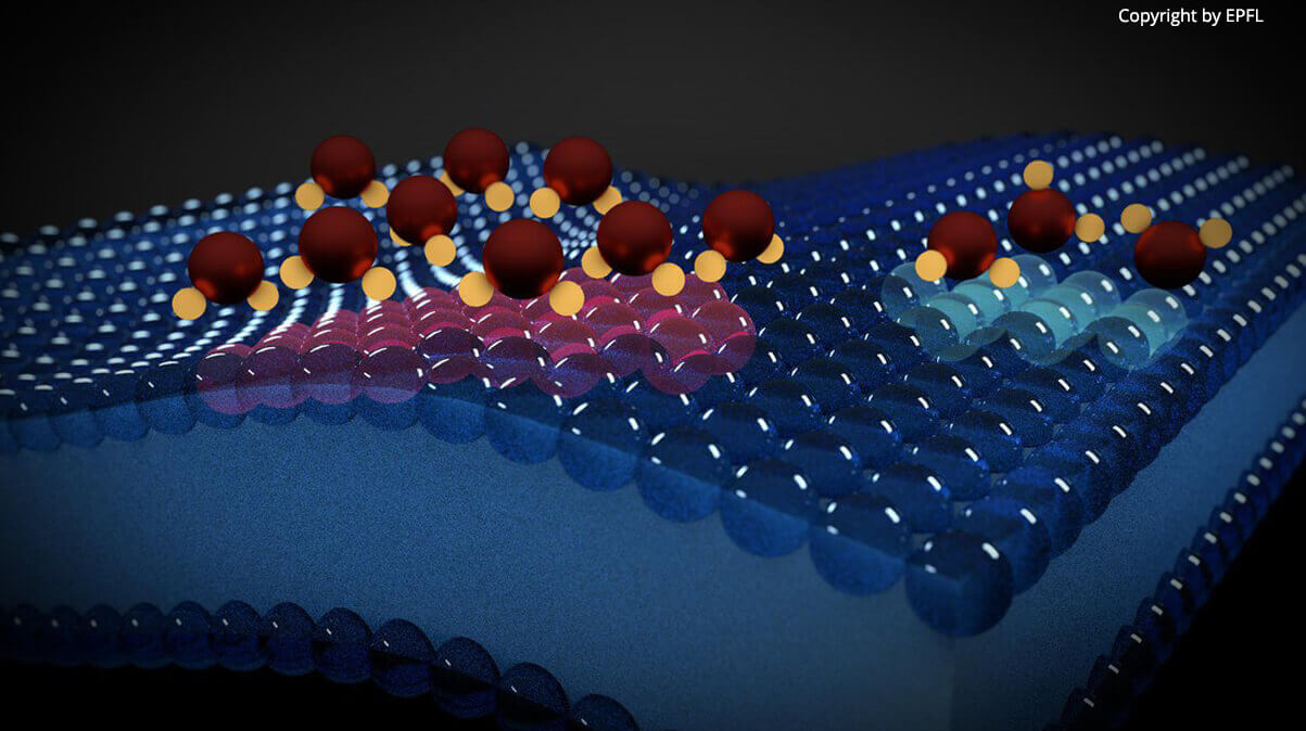 electrical activity in lipid membranes