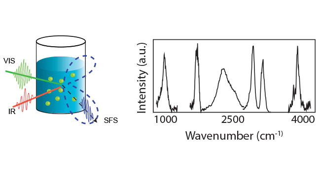 Technological Application Surface Chemistry In Solution
