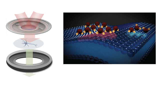 Technological Application Surface Electrostatic