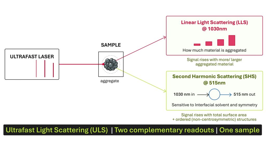 Video Thumbnail of Ultrafast Light Scattering